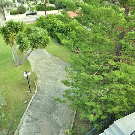 Elli カト・アルミリ