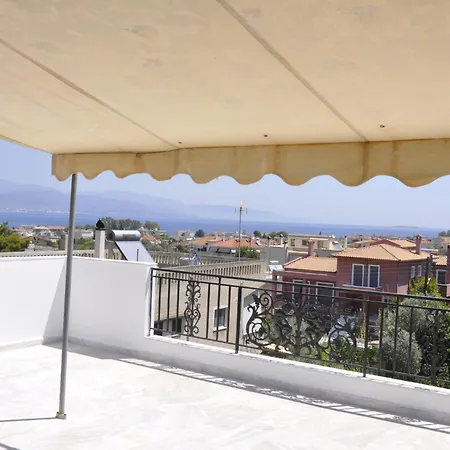 Elli カト・アルミリ